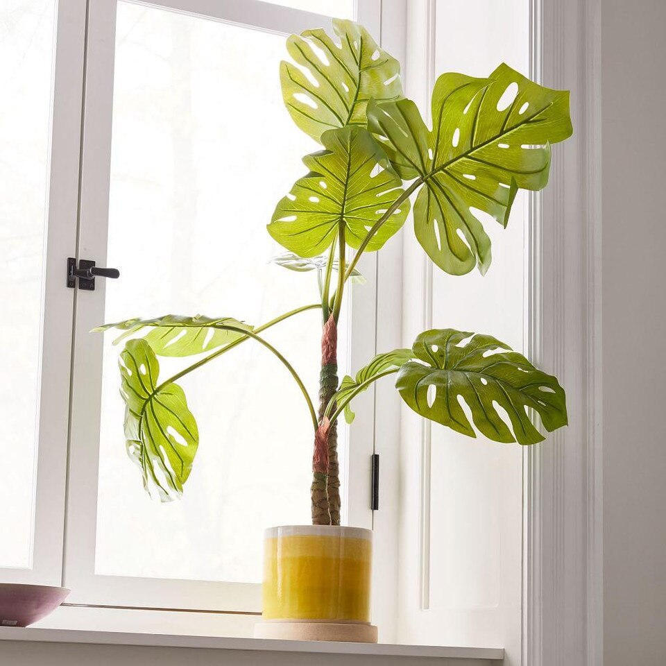 Faux Monstera Plant West Elm Australia